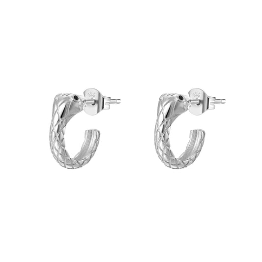 PENDIENTES PHYTON SILVER