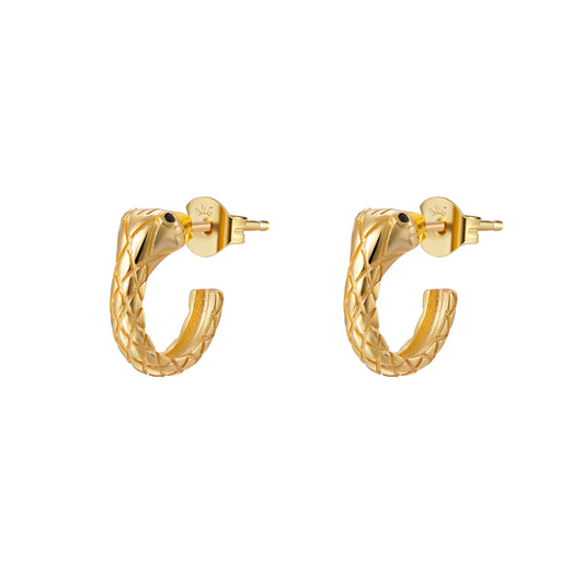 PENDIENTES PHYTON GOLD